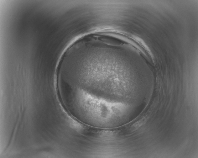 X0000075831424200609151227