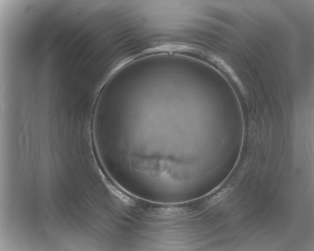 X0000075831425200609151227