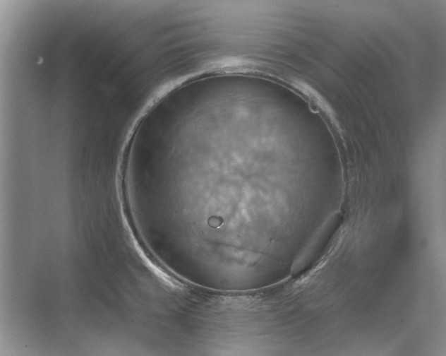 X0000075831429200609151227