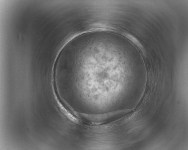 X0000075831431200609151227