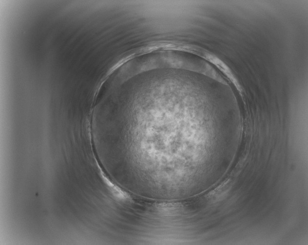 X0000075831433200609151227