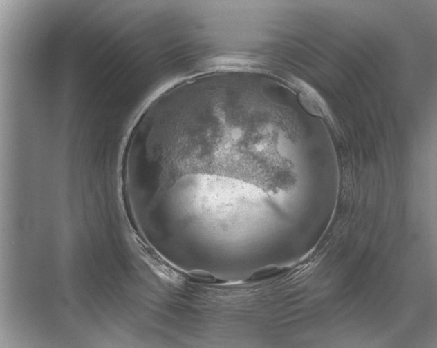 X0000075831435200609151227