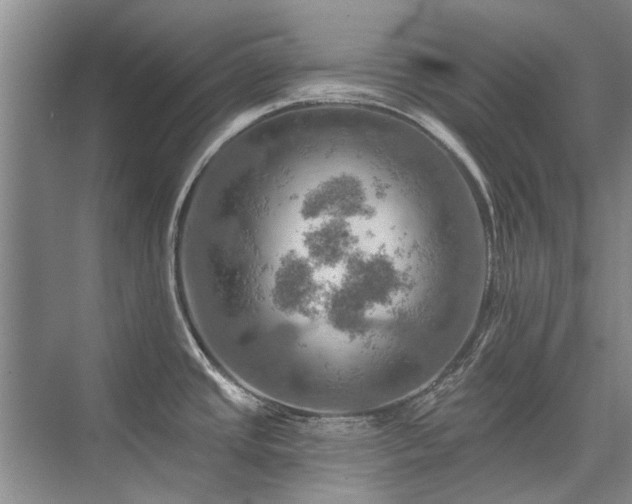 X0000075831437200609151227