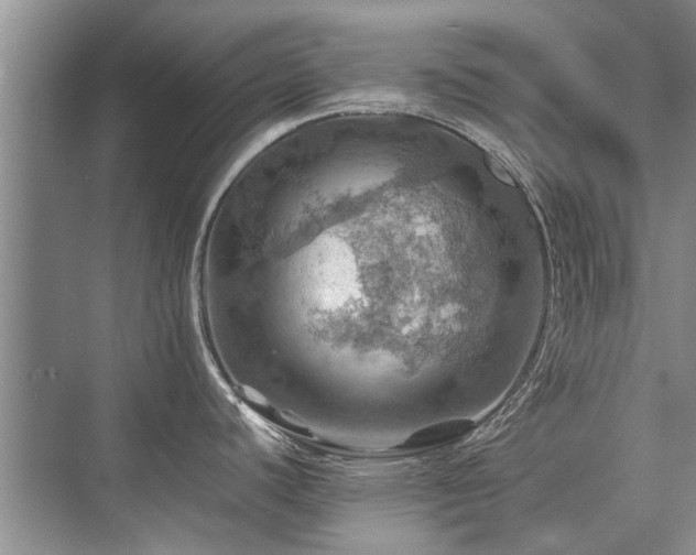 X0000075831440200609151227