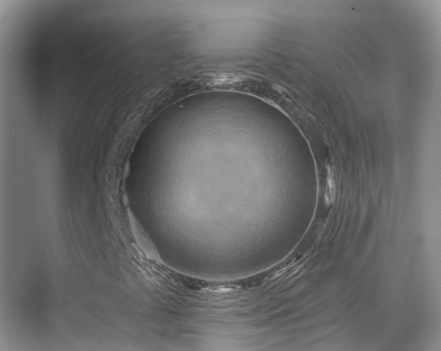 X0000075831441200609151226