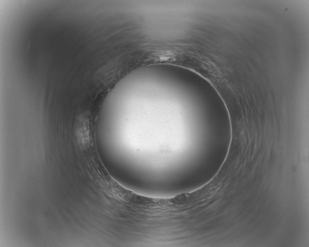 X0000075831442200609151226