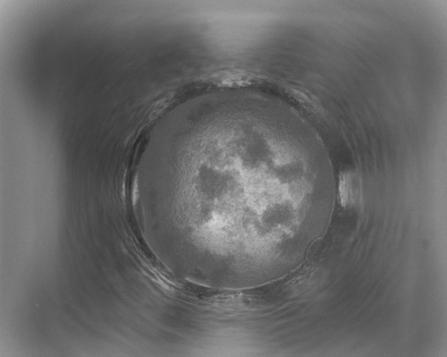 X0000075831444200609151226