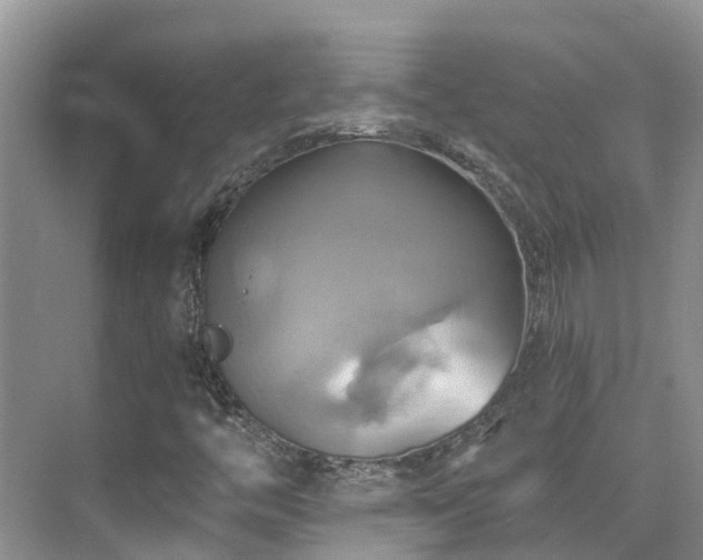 X0000075831446200609151226