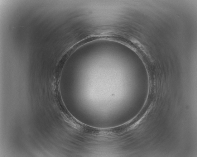 X0000075831449200609151226