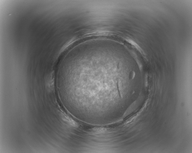 X0000075831450200609151226