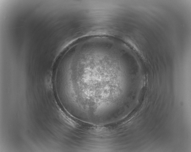 X0000075831452200609151226