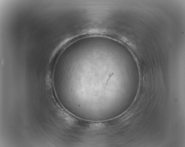 X0000075831454200609151226