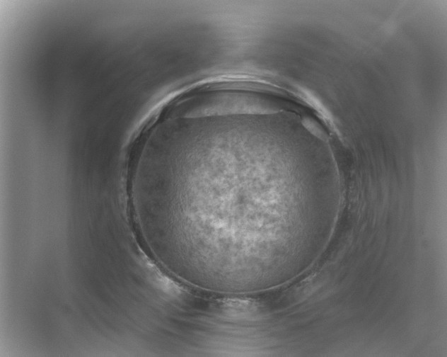 X0000075831456200609151226