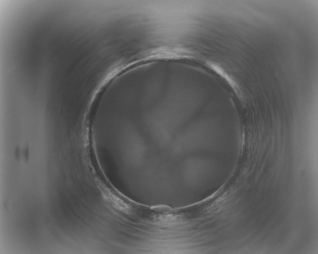 X0000075831459200609151226