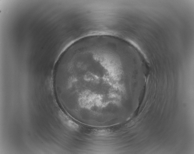 X0000075831460200609151226