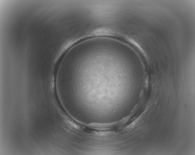 X0000075831461200609151226