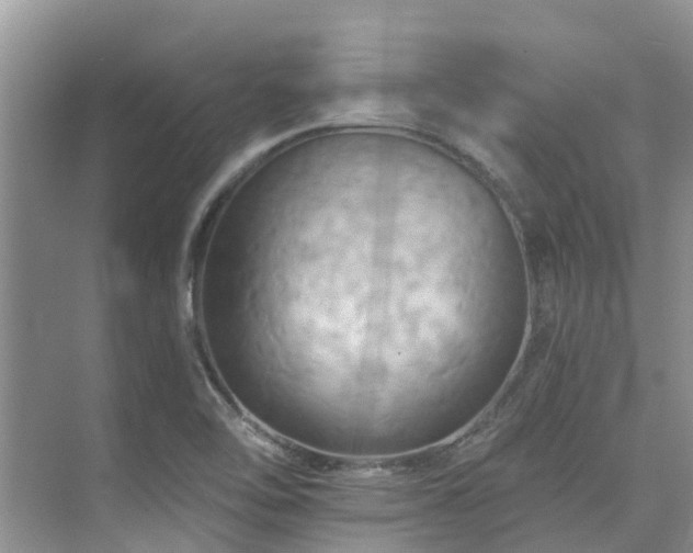 X0000075831462200609151226