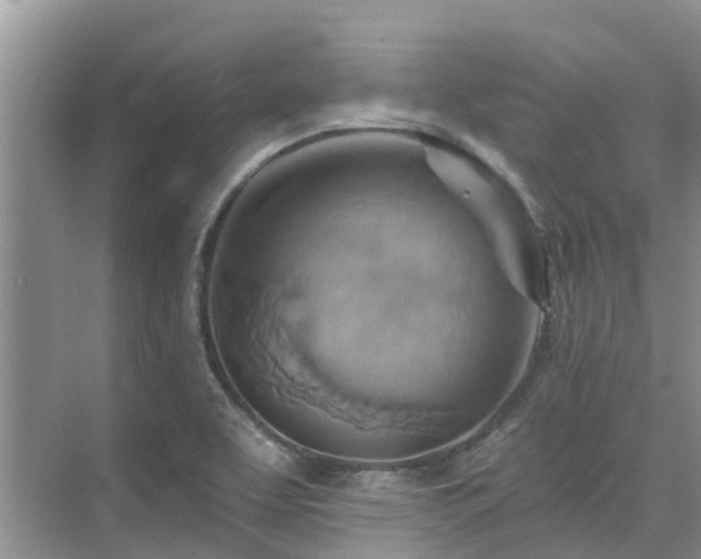 X0000075831463200609151226