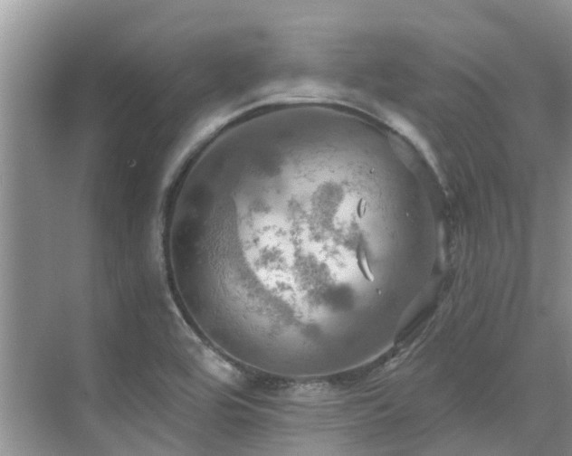 X0000075831464200609151226