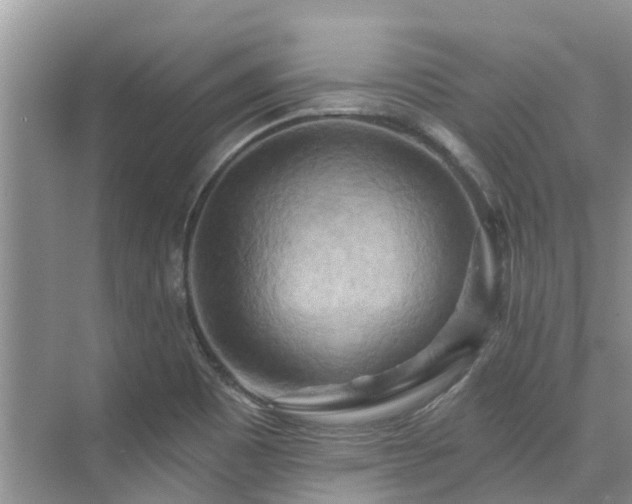 X0000075831465200609151226