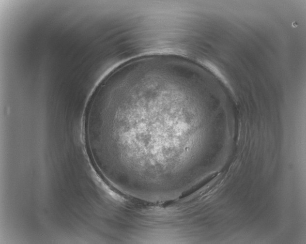 X0000075831468200609151226