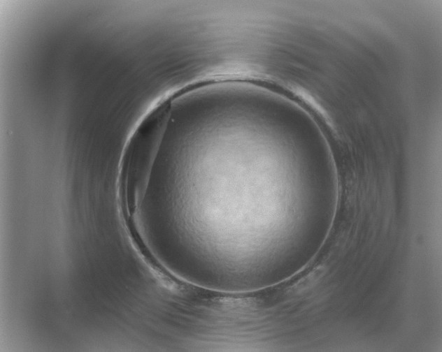 X0000075831469200609151226