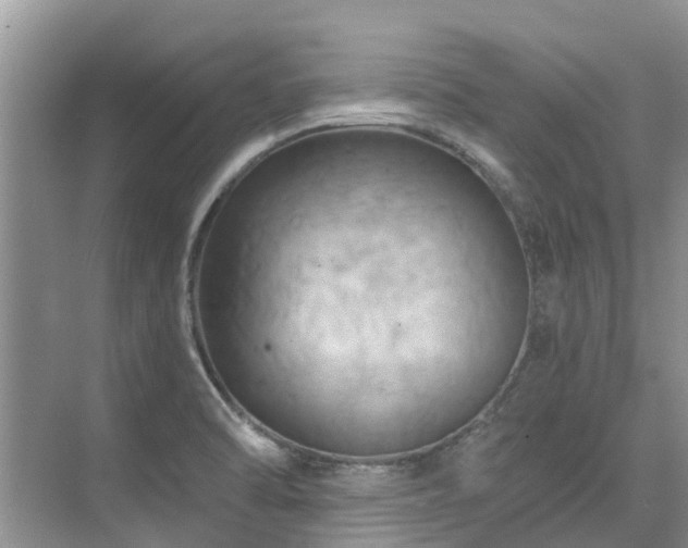 X0000075831470200609151226