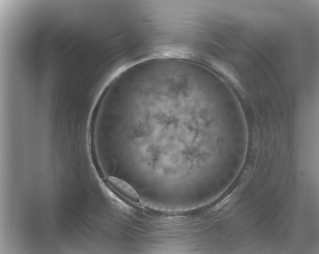 X0000075831471200609151226