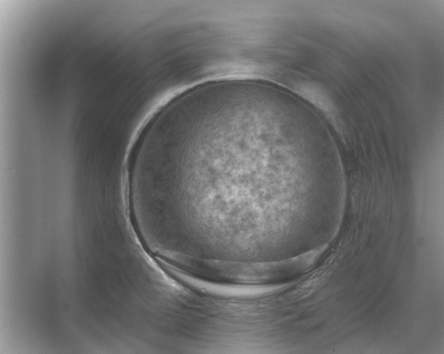 X0000075831472200609151226