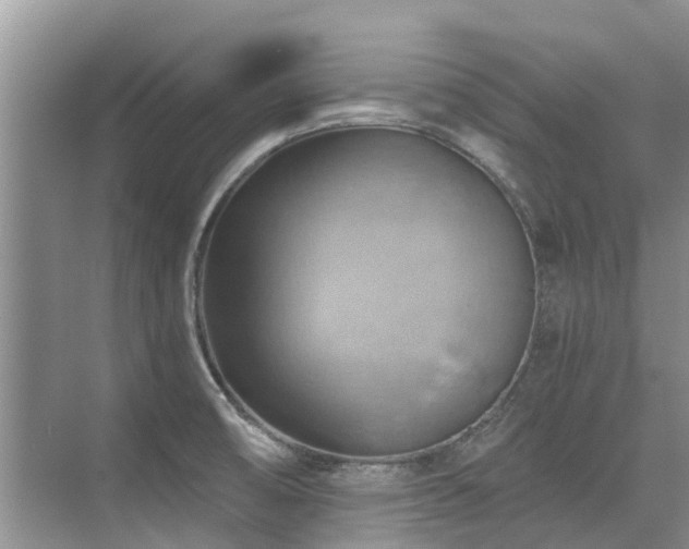 X0000075831474200609151225