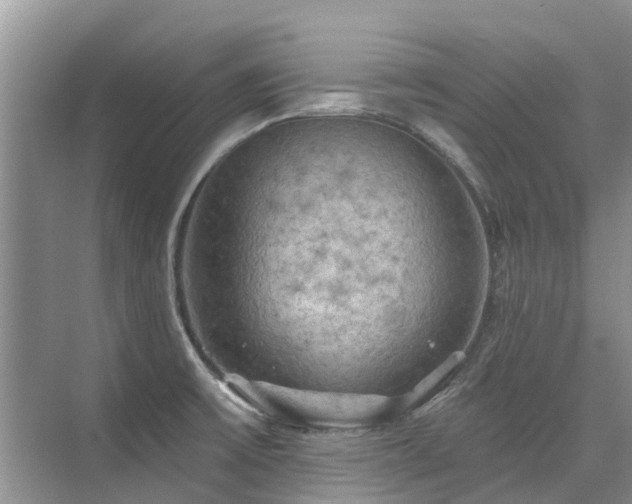 X0000075831475200609151225