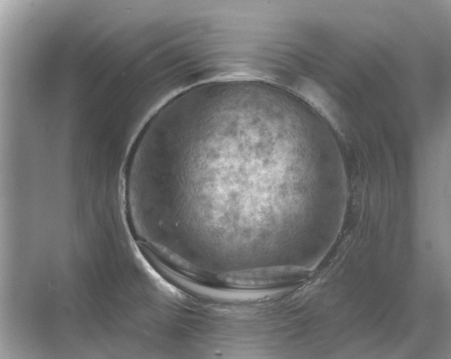 X0000075831476200609151225