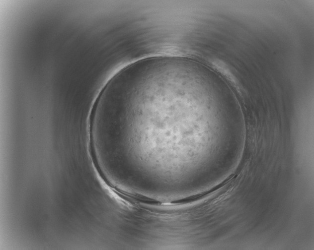 X0000075831479200609151225