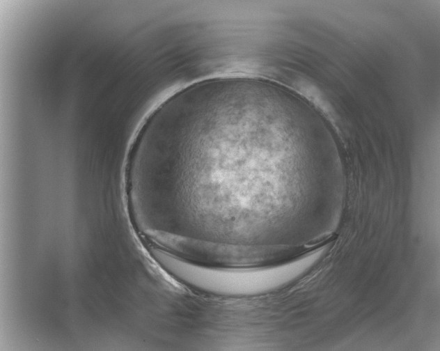 X0000075831480200609151225