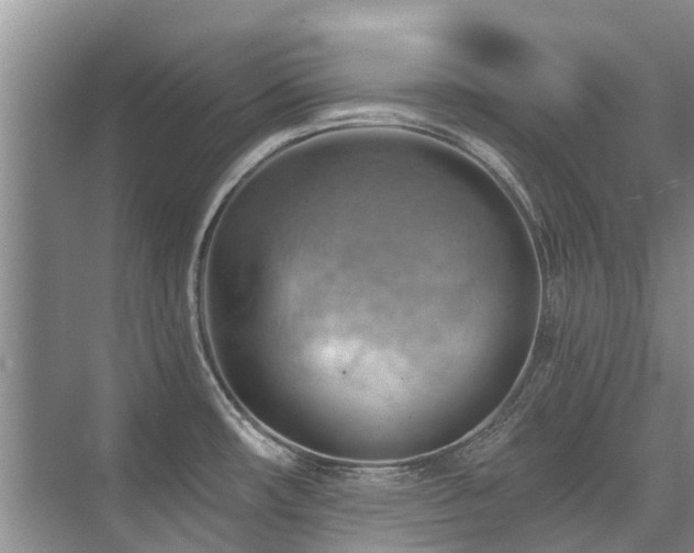 X0000075831482200609151225