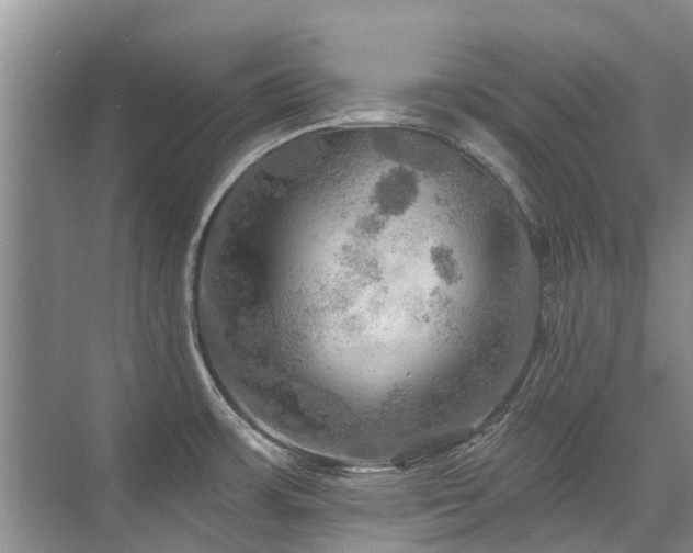 X0000075831483200609151225