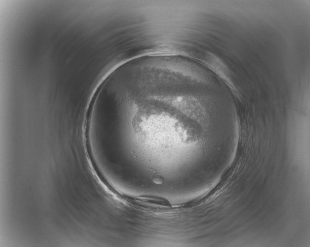 X0000075831484200609151225