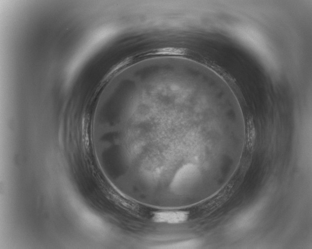 X0000075831487200609151225