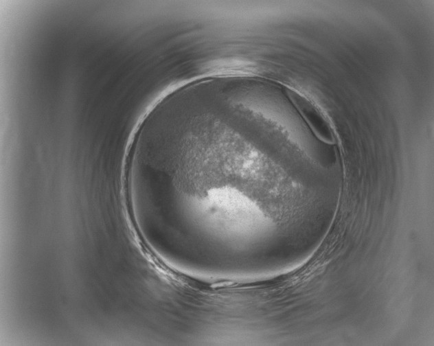 X0000075831488200609151225