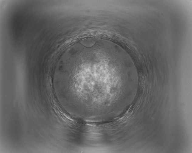 X0000075831489200609151224