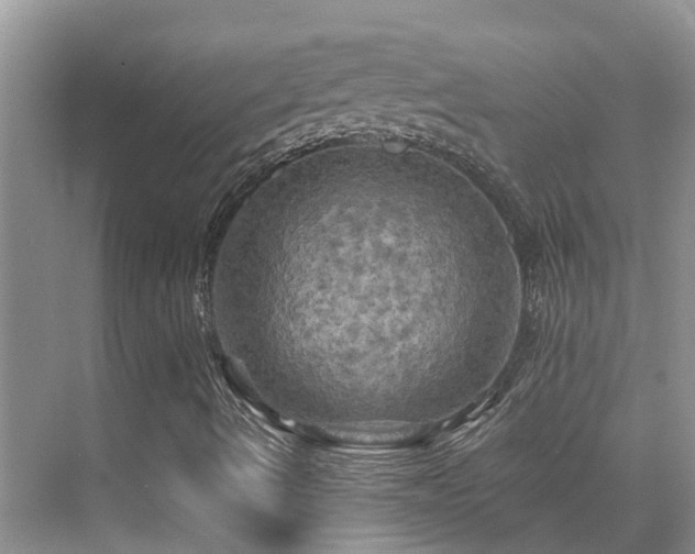 X0000075831490200609151224