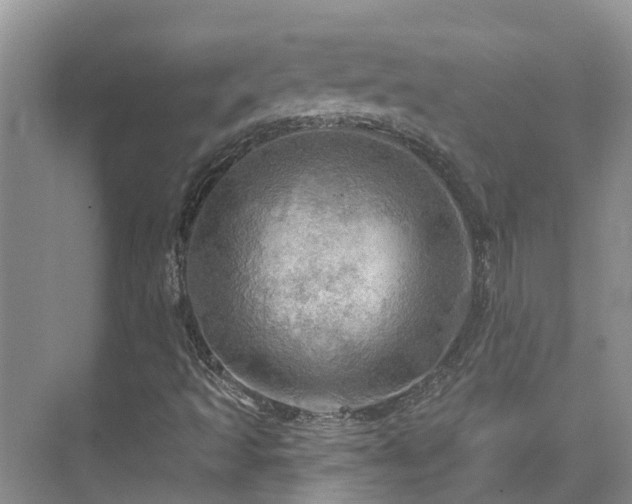 X0000075831493200609151225