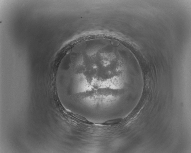 X0000075831494200609151225