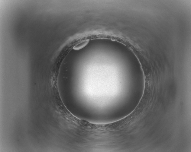 X0000075831495200609151225