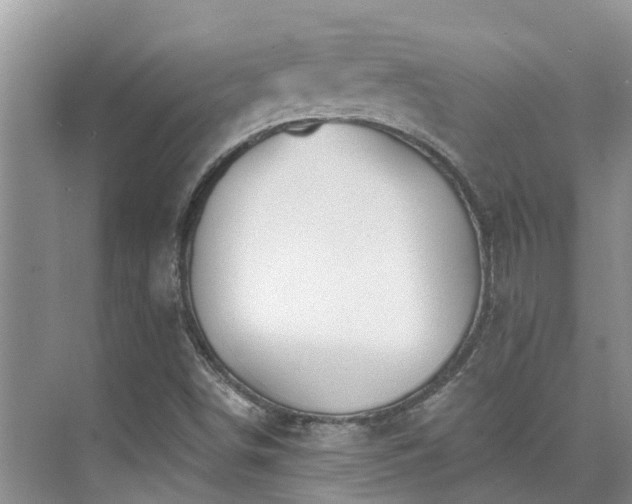 X0000075831498200609151225