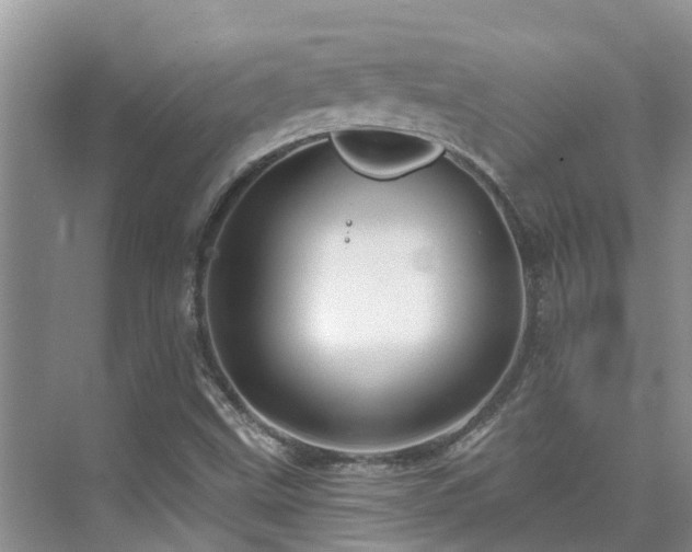 X0000075831499200609151225