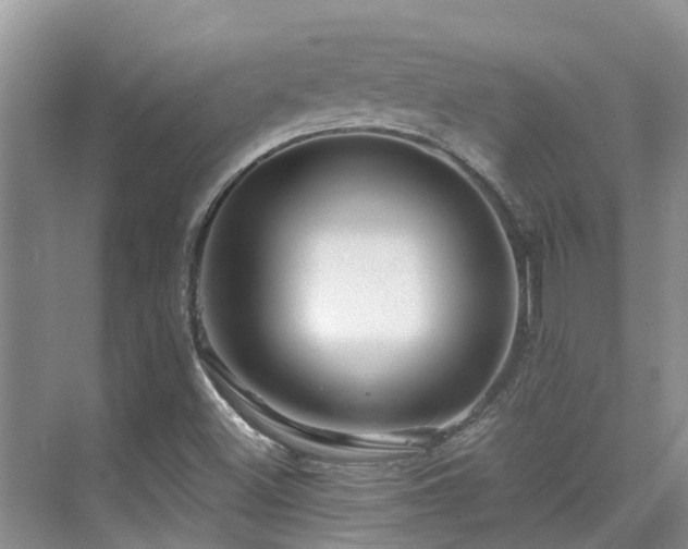 X0000075831500200609151225