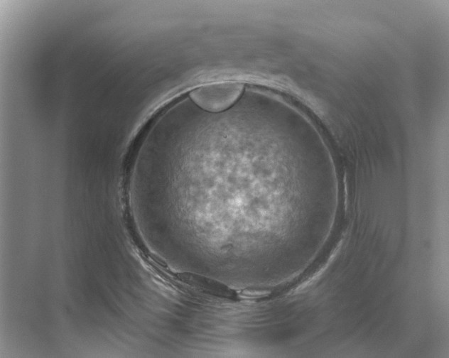 X0000075831501200609151225