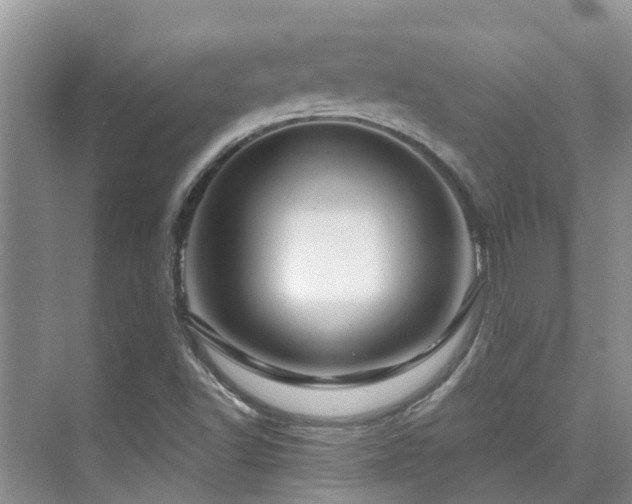 X0000075831502200609151225