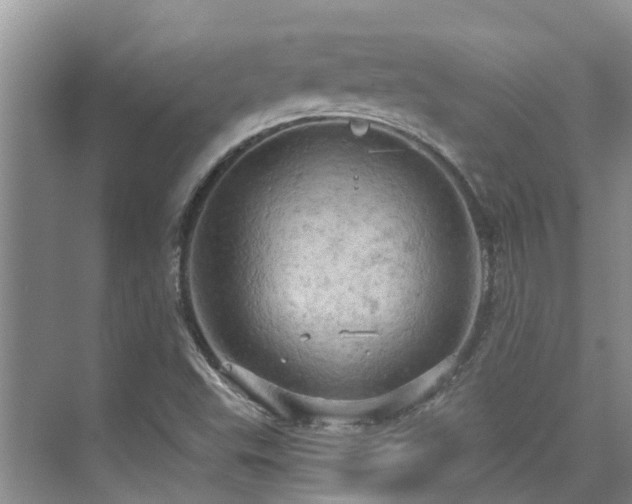 X0000075831503200609151225